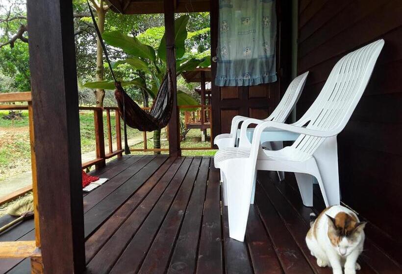 بانگلوی استاندارد, Eco Bungalow