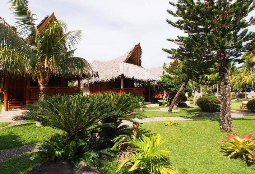 Номер Стандарт, Pura Vida Beach & Dive Resort