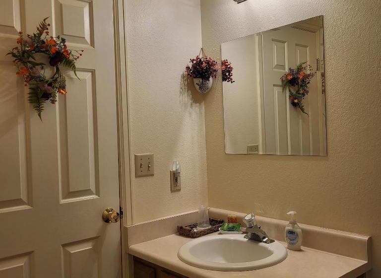 اتاق استاندارد با چشم‌انداز کوهستان, Buffalopeaks Lodge