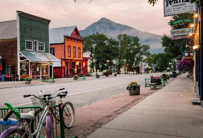 استودیوی استاندارد, Cozy Pet Friendly King Studio In Mt, Crested Butte Condo