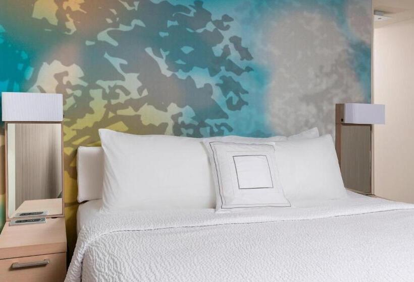 스탠다드 룸 킹사이즈 침대, Courtyard By Marriott Bismarck North