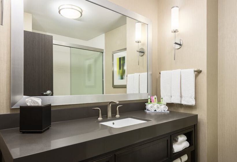سوییت, Holiday Inn Express And Suites Norman, An Ihg