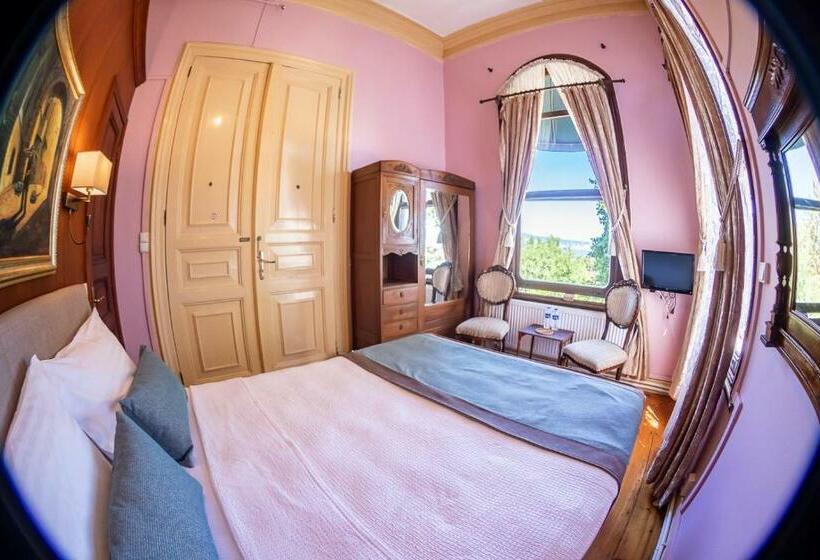 Номер Стандарт Вид на Море, Büyükada Anastasia Meziki History Mansion
