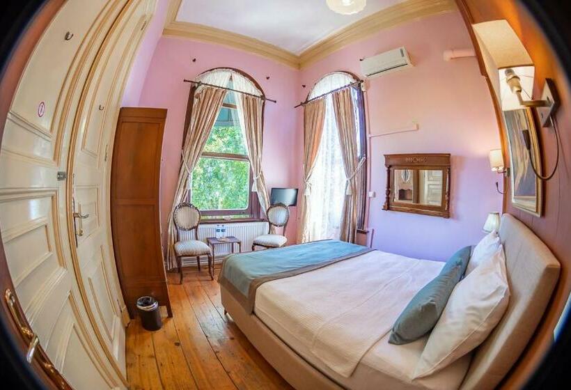 Номер Стандарт Вид на Море, Büyükada Anastasia Meziki History Mansion