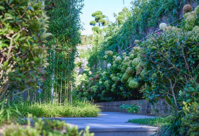اتاق استاندارد, Amber Pure Hill Hotels & Resorts Jeju