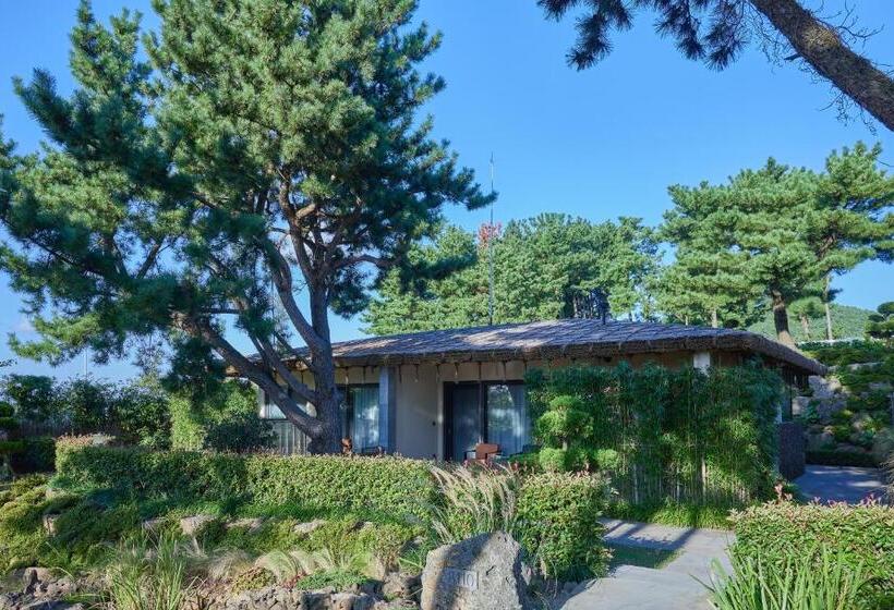 اتاق استاندارد, Amber Pure Hill Hotels & Resorts Jeju