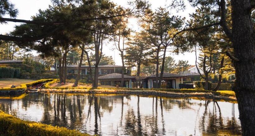 ویلای یک اتاق خوابه با استخر شنا, Amber Pure Hill Hotels & Resorts Jeju