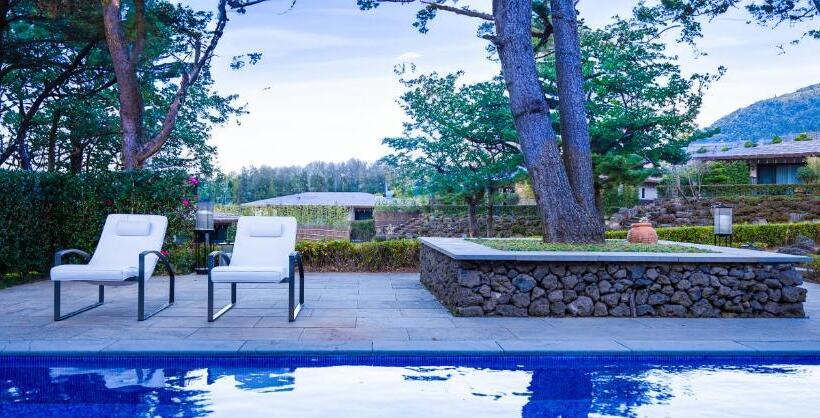 ویلای یک اتاق خوابه با استخر شنا, Amber Pure Hill Hotels & Resorts Jeju