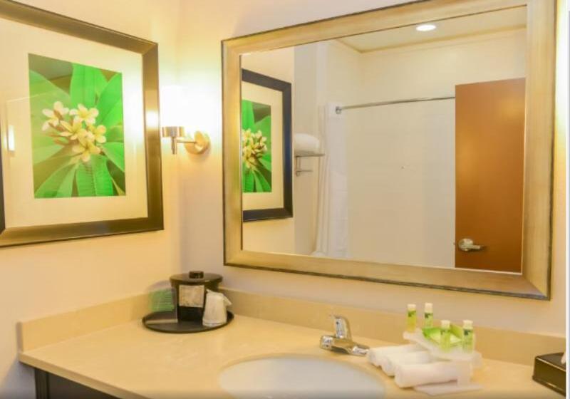 סוויטה מותאמת לאדם עם מוגבלויות, Holiday Inn Express Hotels & Suites Cuero, An Ihg