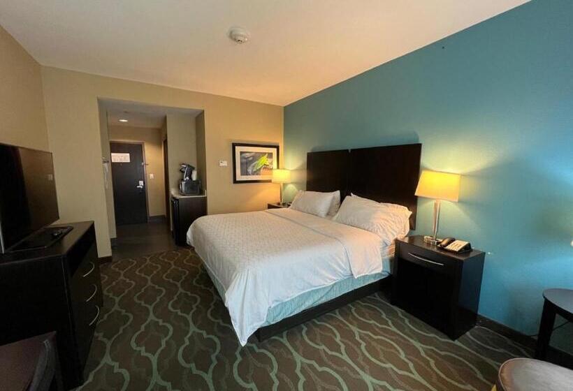 חדר סטנדרט עם מיטת קינג, Holiday Inn Express Hotels & Suites Cuero, An Ihg