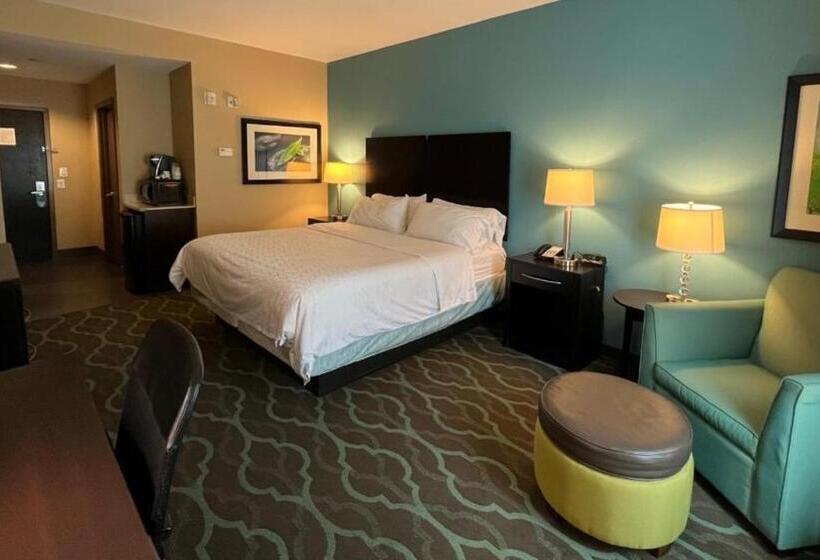 חדר סטנדרט עם מיטת קינג, Holiday Inn Express Hotels & Suites Cuero, An Ihg