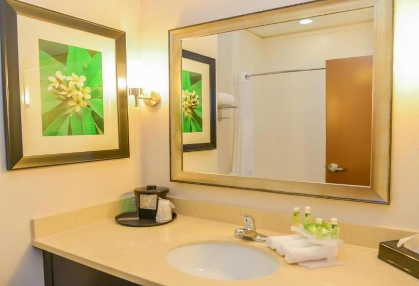 חדר סטנדרט מותאם לאדם עם מוגבלויות, Holiday Inn Express Hotels & Suites Cuero, An Ihg