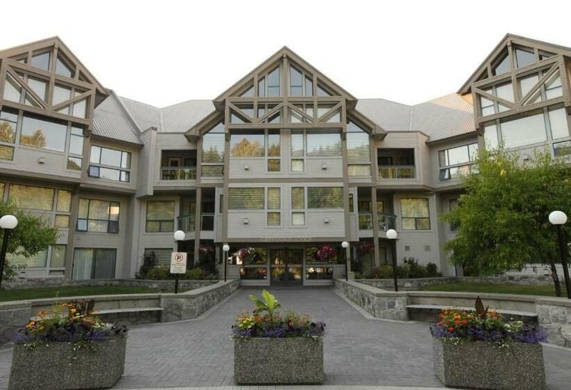 استودیوی استاندارد, Greystone Lodge