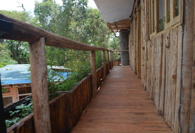 تختخواب در اتاق مشترک, Jinja Backpackers