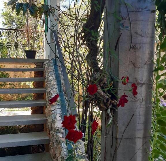 Люкс с Балконом, Pousada Manacás