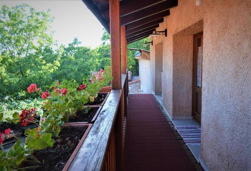 Номер Стандарт, Colja Jozko Agriturismo