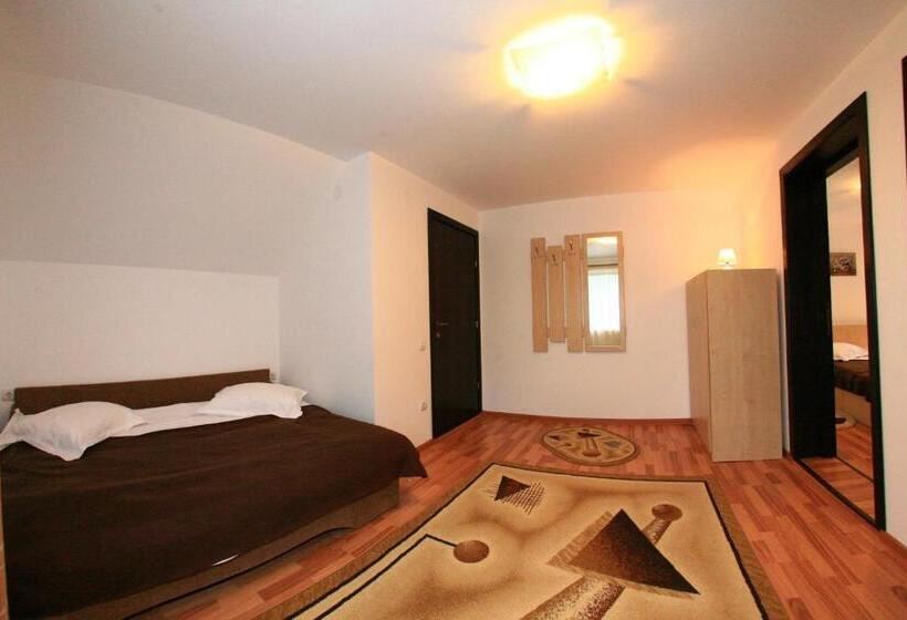 Апартаменты 1 Спальня с Балконом, Casa Dintre Vai
