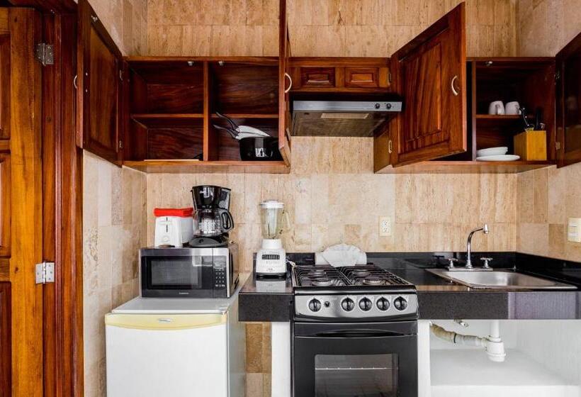 Habitació Estàndard Interior, Olas Altas Suites Departamentos