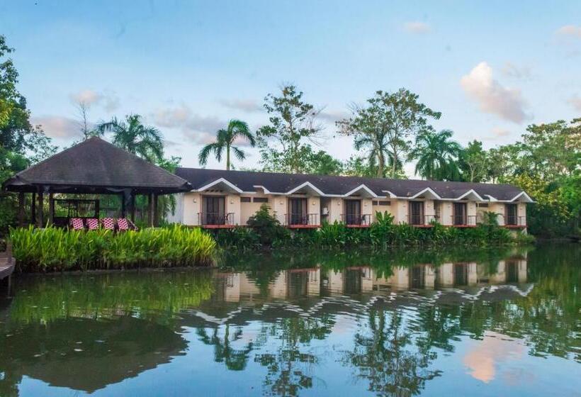 스탠다드 룸, Sheridan Boutique Resort Iloilo