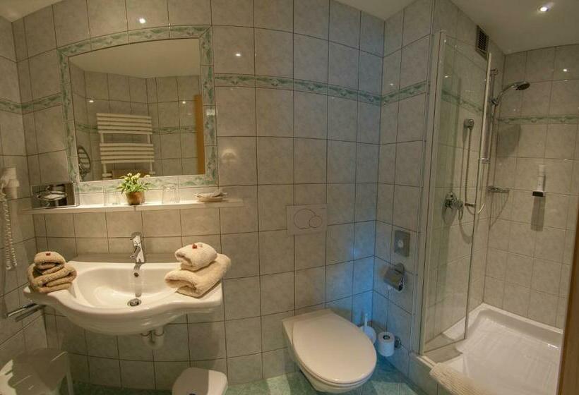 Номер Стандарт, Pension Alwin
