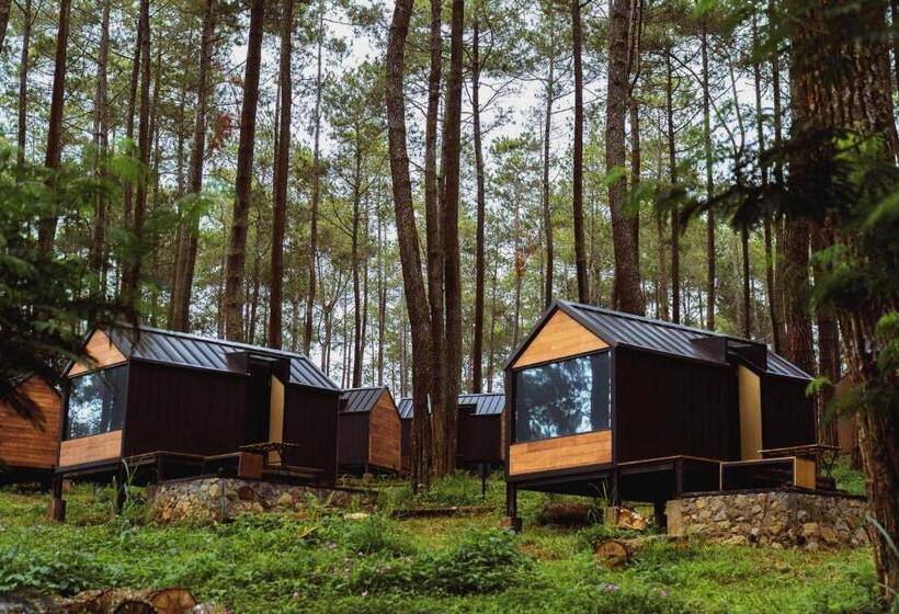 Номер Executive, Bobocabin Cikole, Bandung