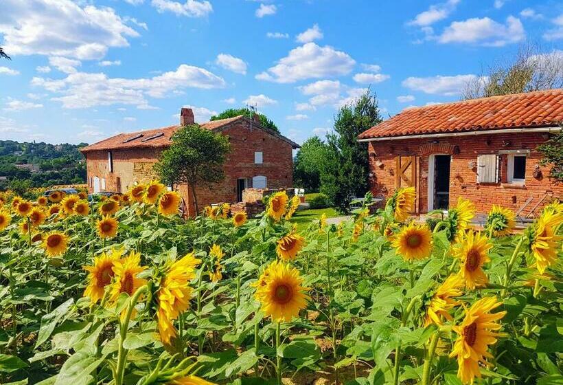 Студио Стандарт с Террасой, Les Hauts De Sames