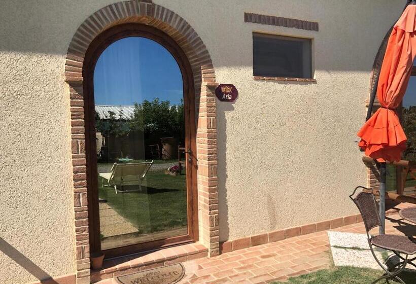 اتاق استاندارد, Il Grano Di Bramante