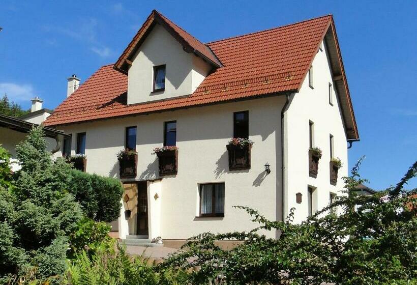 Апартаменты 2 Спальни, 4 Sterne Ferienwohnung Sommerberg Inklusive Gästekarte