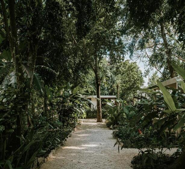 전용 풀장 스위트, Casona Los Cedros
