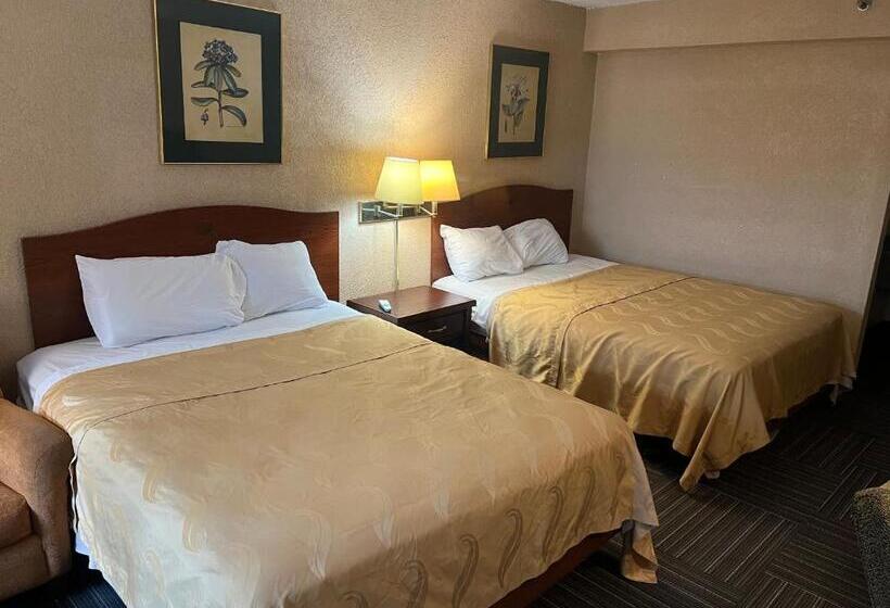 스탠다드 룸 더블 침대 2개, The Lodge Hotel And Banquets