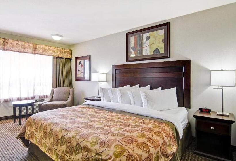 غرفة قياسية سرير كينج, Coast Weyburn