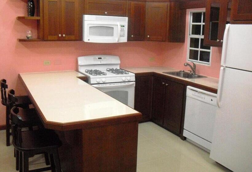 آپارتمان 1 خوابه, Piarco Village Suites