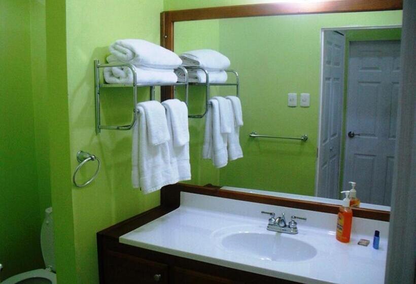 اتاق استاندارد یک نفره, Piarco Village Suites