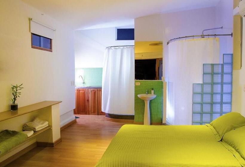 استودیوی استاندارد, Casa Verde