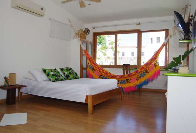 استودیوی استاندارد, Casa Verde