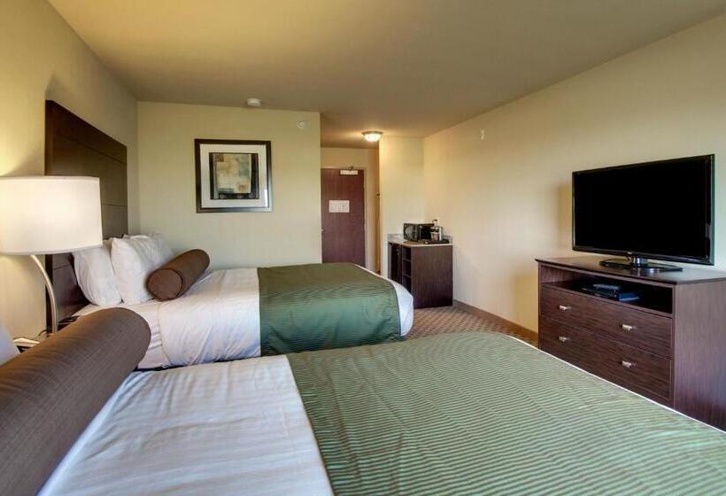 스탠다드 룸, Cobblestone Inn & Suites   Avoca
