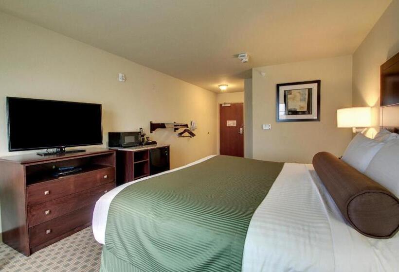 스탠다드 룸 킹사이즈 침대, Cobblestone Inn & Suites   Avoca