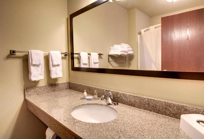 스위트 킹사이즈 침대, Cobblestone Inn & Suites   Avoca