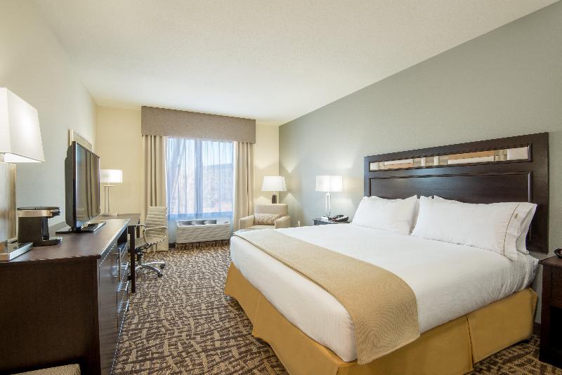 Стандартный Номер Кровать Кинг, Holiday Inn Express & Suites Denver South   Castle Rock, An Ihg