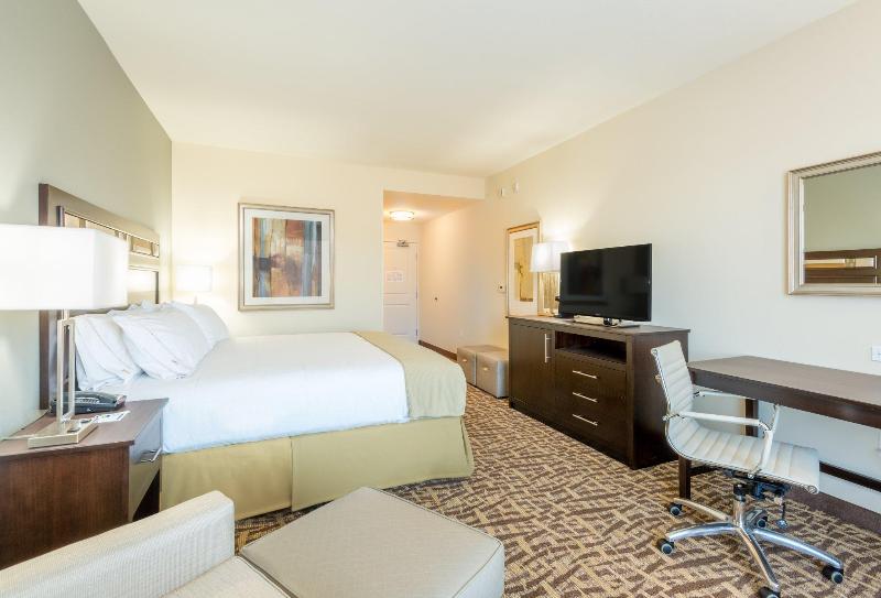 Номер Стандарт Кровать Кинг Адаптированный для Инвалидов, Holiday Inn Express & Suites Denver South   Castle Rock, An Ihg