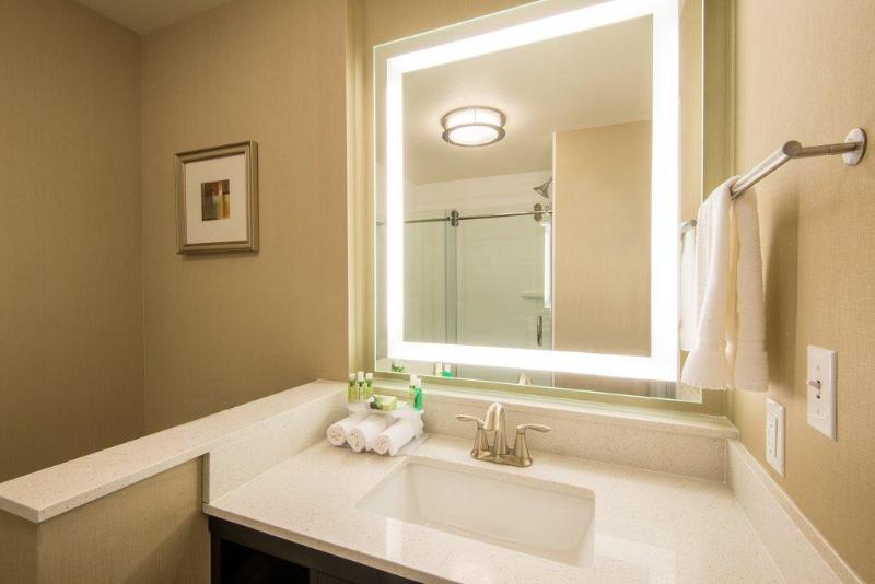 Номер Стандарт Кровать Кинг Адаптированный для Инвалидов, Holiday Inn Express & Suites Denver South   Castle Rock, An Ihg