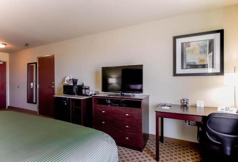 스탠다드 룸, Cobblestone Inn & Suites   Eads