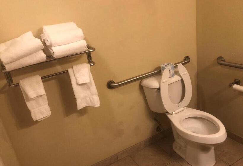 장애인을 위한 킹사이즈 침대 스탠다드 룸, Cobblestone Inn & Suites   Eads