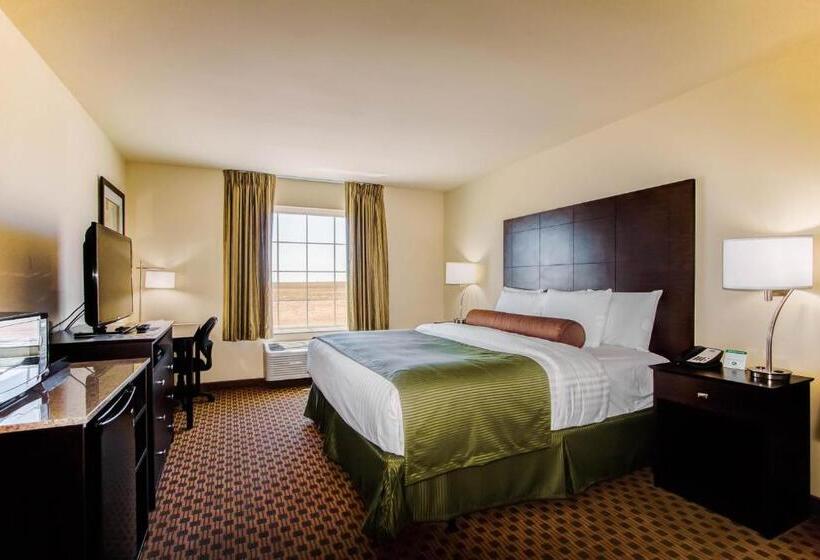 장애인을 위한 킹사이즈 침대 스탠다드 룸, Cobblestone Inn & Suites   Eads