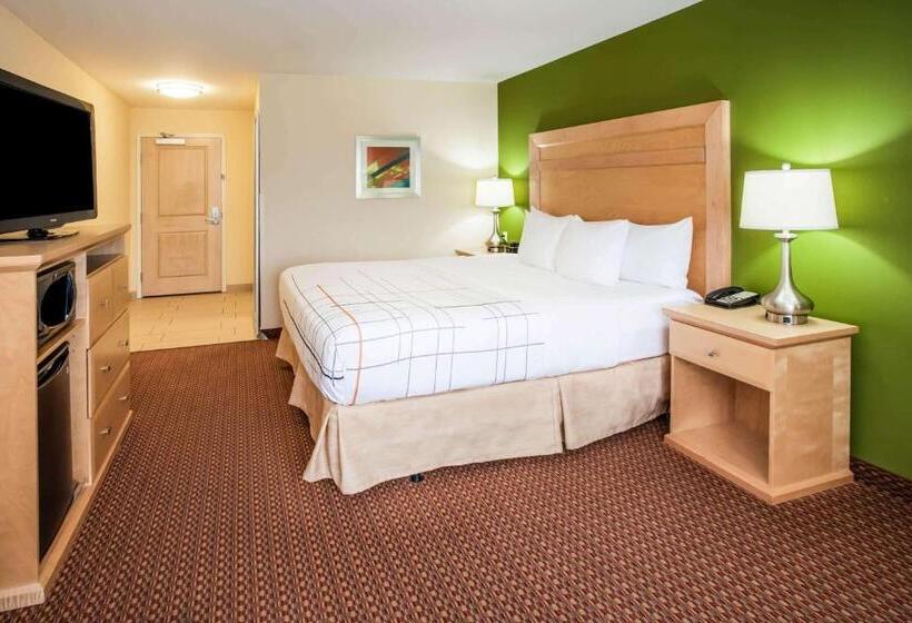 Стандартный Номер Кровать Кинг, La Quinta By Wyndham Rochester Mayo Clinic Area South