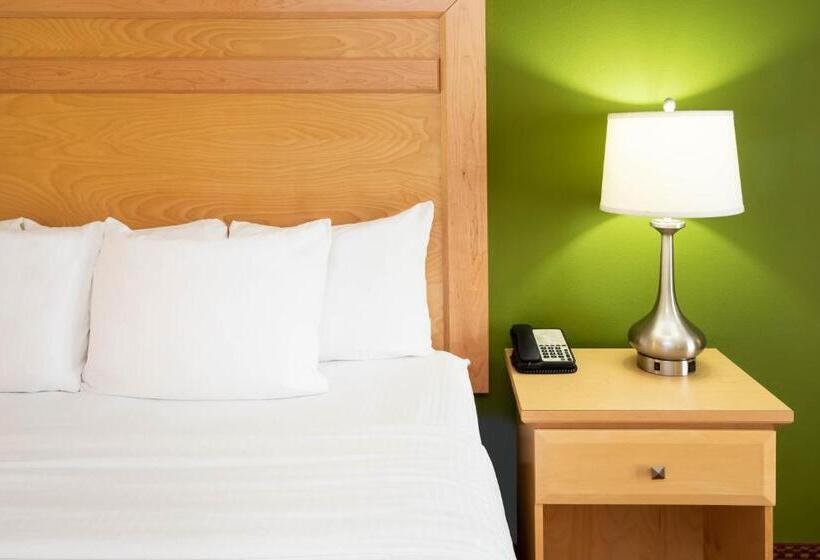Номер Стандарт Кровать Кинг Адаптированный для Инвалидов, La Quinta By Wyndham Rochester Mayo Clinic Area South