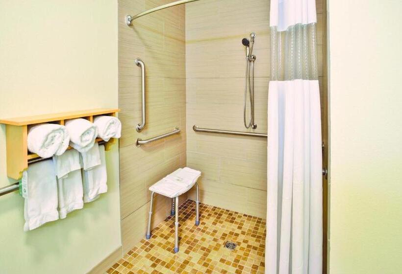 Номер Стандарт Кровать Кинг Адаптированный для Инвалидов, La Quinta By Wyndham Rochester Mayo Clinic Area South