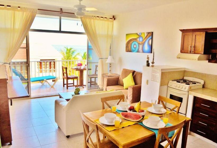 سوئیت مستر با چشم‌انداز, Corales Suites