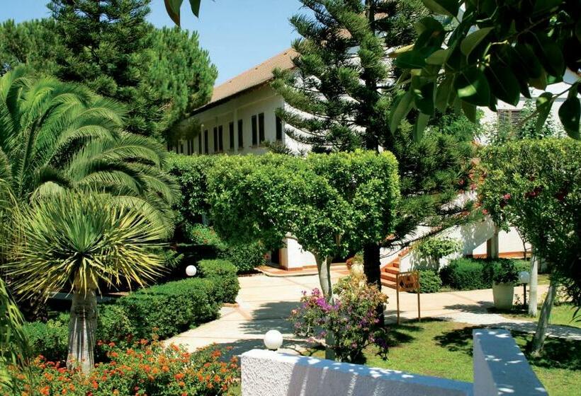 اتاق استاندارد, Igv Club Marispica