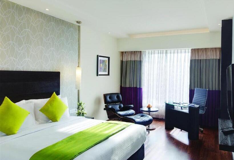 클럽 룸, Hycinth Hotels